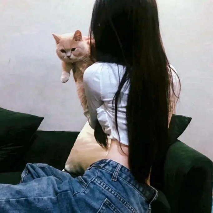 菲德拉