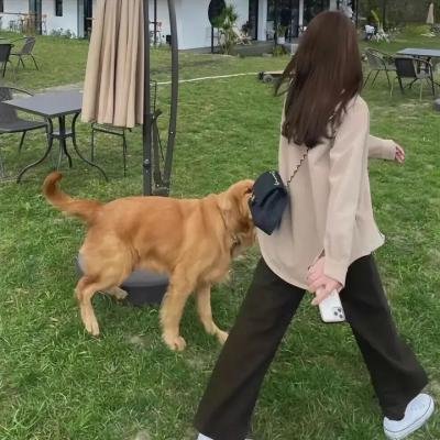 圣物秘闻录