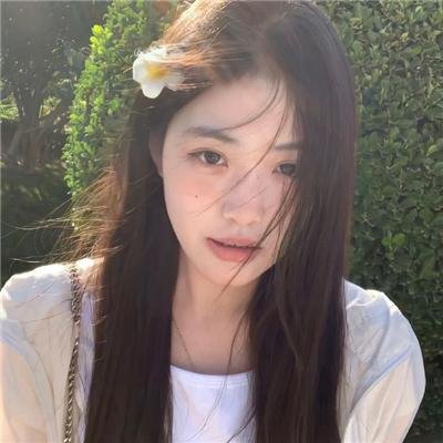 夏日之书2024